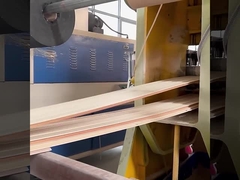 WPC ध्वनिरोधी दीवार पैनल कारखाने प्रत्यक्ष जलरोधक और नमी-सबूत