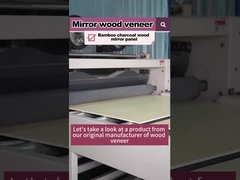 गर्म बिक्री उत्पाद 5MM 8MM लकड़ी अनाज लकड़ी फनीर बांस लकड़ी का कोयला पीवीसी दीवार पैनल