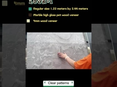 उच्च गुणवत्ता पर्यावरण के अनुकूल दीवार पैनल दीवार आंतरिक पीईटी संगमरमर दीवार पैनल