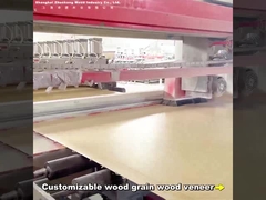 2.44m बांस लकड़ी का कोयला वॉल बोर्ड आधुनिक प्रकाश लक्जरी अनुकूलित लंबाई पीवीसी कार्बन क्रिस्टल वॉलबोर्ड