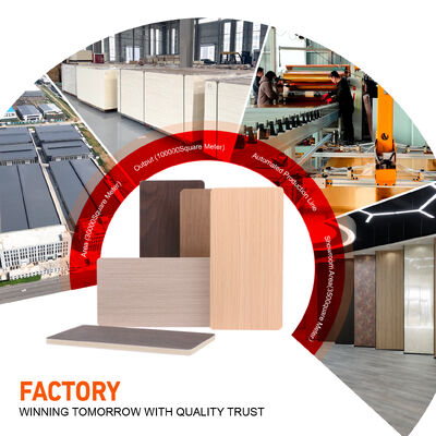 OEM ODM PET Waterproof Mirror Wall Panel for Hotel Commercial Project